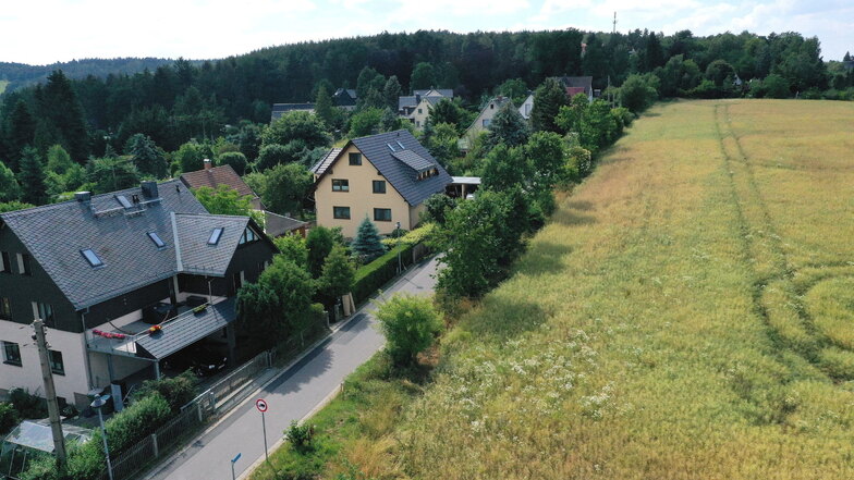 Auf diesem Feldstreifen Am Waldesrand in Seifersdorf könnte die Eigenheimsiedlung erweitert werden.