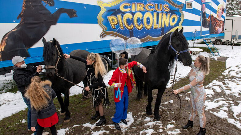 Mitglieder der beiden Wanderzirkusse Bernardo und Piccolino versorgen zwei Zirkuspferde. Im vergangenen Jahr konnten die beiden norddeutschen Familienzirkusse nur wenige Vorstellungen spielen.