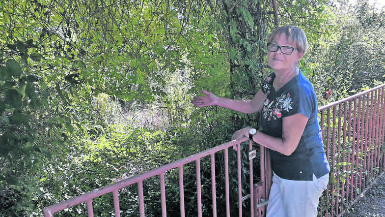 Ingrid Ermer, die Vorsitzende des Kleingartenvereins „Elbfrieden“, zeigt auf eine zugewachsene Parzelle in der Bobersener Anlage. Davon gibt es einige.