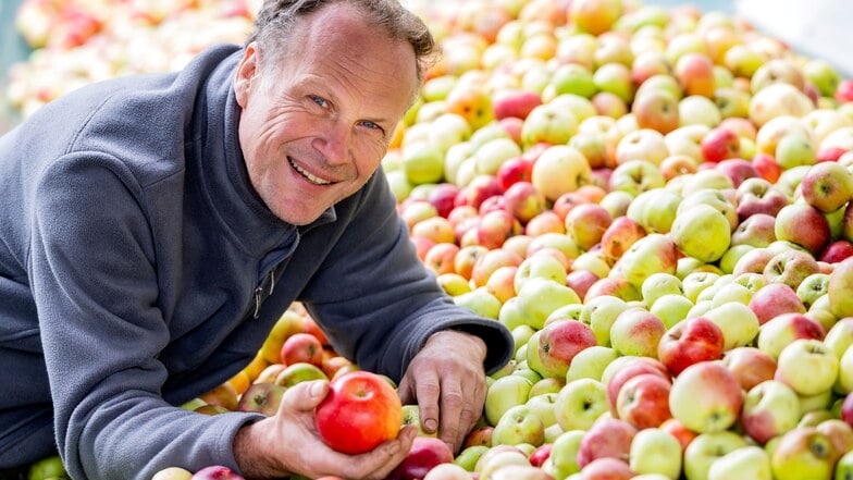 Ralf Hillmann betreibt eine Kelterei in Neukirch/Lausitz. Derzeit bekommt er reichlich Äpfel zum Entsaften gebracht.