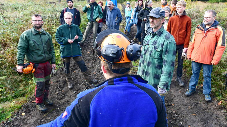 Unter Anleitung von Profis fanden sich Freiwillige ein, um den Wald zu beräumen.