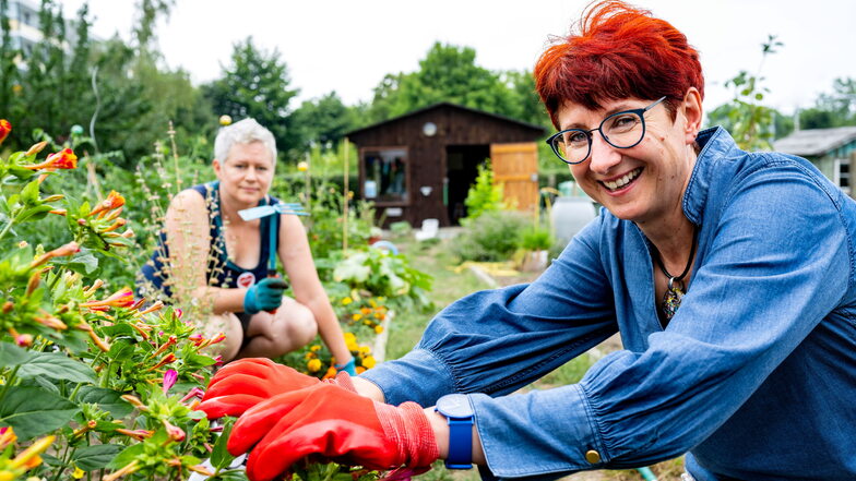 Anke Knaak (vorn) hat in der Bautzener Gartenanlage Gartenfreunde einen Gemeinschaftsgarten initiiert. Gritt Stephan bewirtschaftet hier seit Mai zwei Beete.