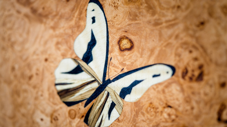 Ein Kundenauftrag führte sie zu ihrem Hauptmotiv: Beim Besichtigen einer Werkstatt verflog sich ein Schmetterling darin, den sie wieder frei ließ.