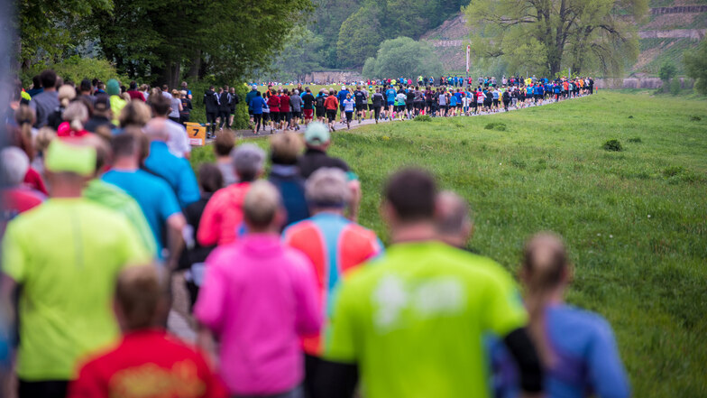 Mehr als 5.700 Läufer sind am Sonntag auf dem Elberadweg unterwegs. Ihr härtester Gegner ist der Wind.