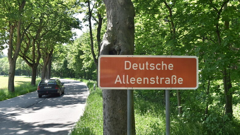 Die Bundesstraße B 171 ist Teil der Deutschen Alleenstraße, wie dieses Schild in der Nähe der Vorsperre Lehnmühle zeigt.