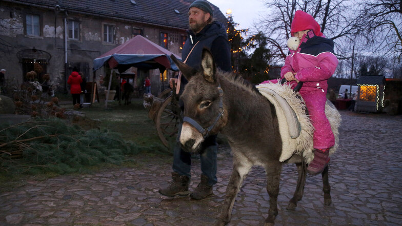 Die fünfjährige Lia Eliette aus Dresden beim Eselreiten mit dem Meißner Tom Meyer