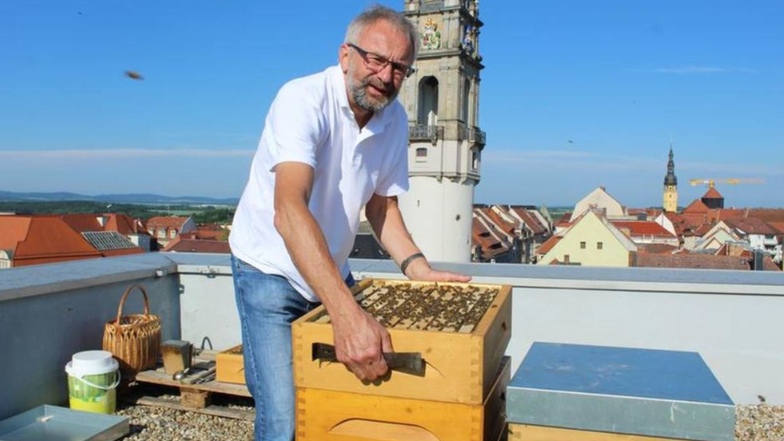 Roland Barthel bei seinen Bienenvölkern auf dem Best Western Plus Hotel in Bautzen. Einmal die Woche schaut der Imker hier nach dem Rechten.