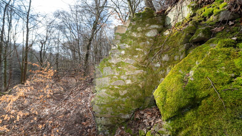An diesem Mauervorsprung könnte der Zugang zur Vorburg gewesen sein.