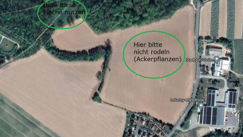 Das Stadtgut hat markiert, wo gerodelt werden soll und wo nicht. Der erwünschte Rodelhang liegt am Pfaffendorfer Weg, direkt am Waldrand.