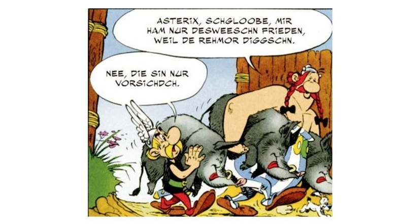 Asterix und Obelix sind rischdisch fiff’sche Briedor, dies’sch nischd
gefalln lassn.