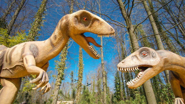Die Dinos im Saurierpark Kleinwelka bei Bautzen brauchen kein Futter. Deshalb spendet der Betreiber des Parks jetzt Zoos in der Region Geld, damit dort Tiere ausreichend versorgt werden können.