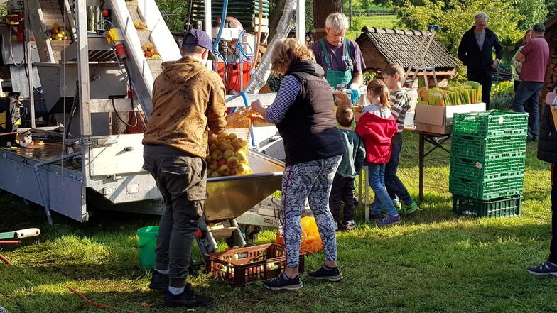 Beim vergangenen Streuobsttag in der Medienscheune in Höckendorf war die mobile Obstmosterei durchgehend im Einsatz.