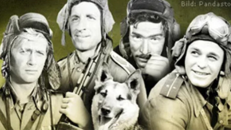"Vier Panzersoldaten und eine Hund" hieß die Serie aus Polen, die zwar vom Krieg erzählte, aber trotzdem auch lustig war.