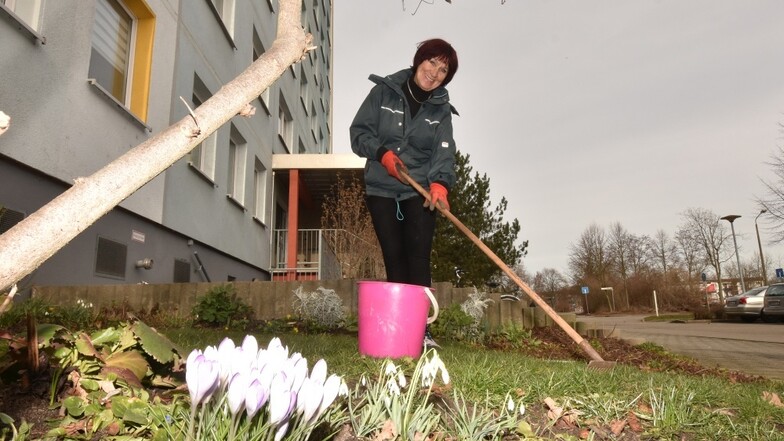 Ute Hempel hat für die Frühjahrsblüher vor der Schweitzerstraße 11 gesorgt und pflegt sie auch.