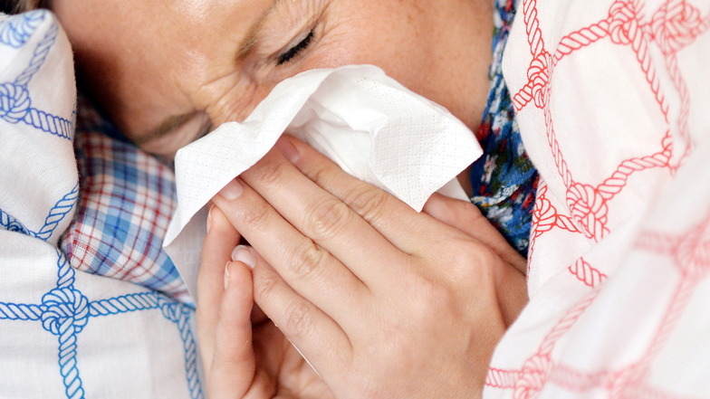 In der aktuellen Erkältungs-Saison sind dem Görlitzer Landratsamt bisher offiziell knapp 1.500 Virus-Infektionen gemeldet worden. Die Dunkelziffer dürfte noch weitaus höher liegen.