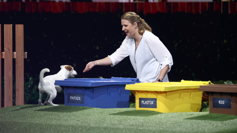Mit einer Tierwette ging es los: Ein drolliger Hund namens "Uno" sortiert Müll richtig in drei Tonnen.