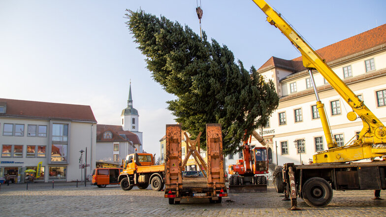 Weihnachtsbaum auf dem Marktplatz in der Altstadt von Hoyerswerda