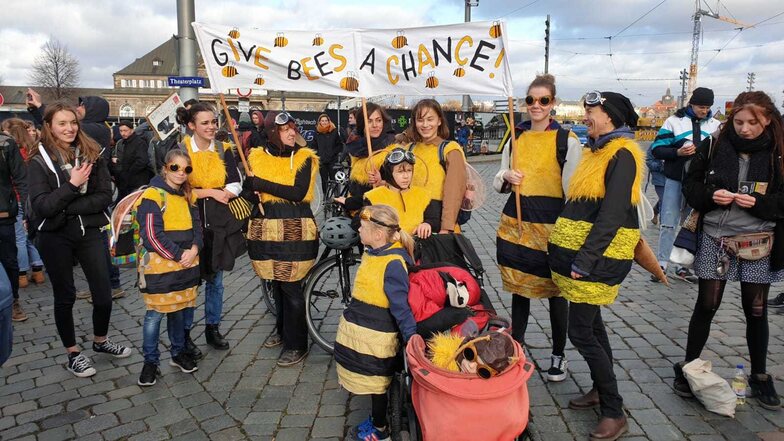 Manche Demoteilnehmer hatten sich für den Klimastreik extra verkleidet, um zum Beispiel auf das Bienensterben aufmerksam zu machen. 