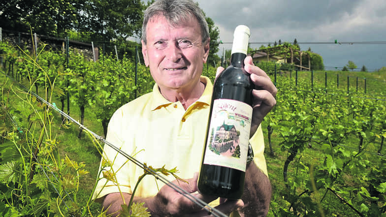 Johann Kehl in seinem Weinberg in Döbeln. Er ist für drei weitere Jahre zum Vorsitzenden des Weinbauvereins gewählt worden. Vor allem das Weinfest im September liegt ihm am Herzen.