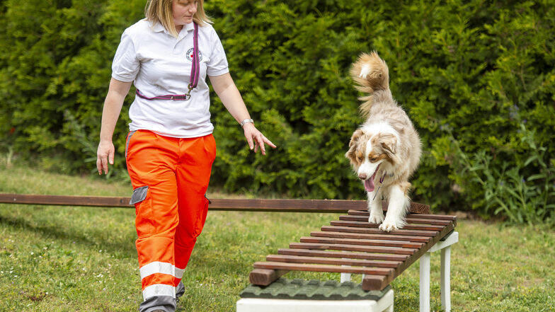 Hundeführerin Anja Simon trainiert mit Hündin Holly mehrfach in der Woche. Der Gang über die Leiter gehört dazu.