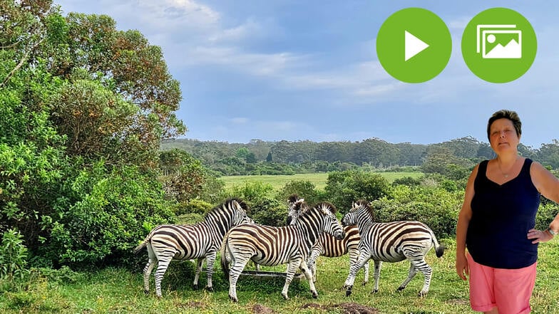 Der Kragga Kamma Game Park ist nur eine halbe Stunde von dem Zuhause von Gaby Tross entfernt.