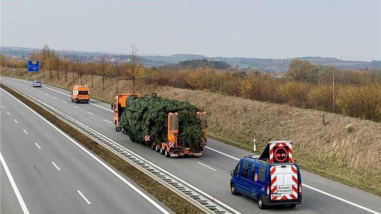 Eine seltene Fuhre auf der Autobahn. Gegen Mittag kommt der Schwerlasttransport, der Baum wiegt immerhin 4,2 Tonnen,  auf dem Altmarkt in Dresden an.