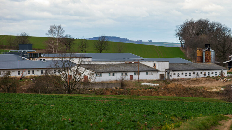 Die Schweinemastanlage in Langenwolmsdorf bei Stolpen.