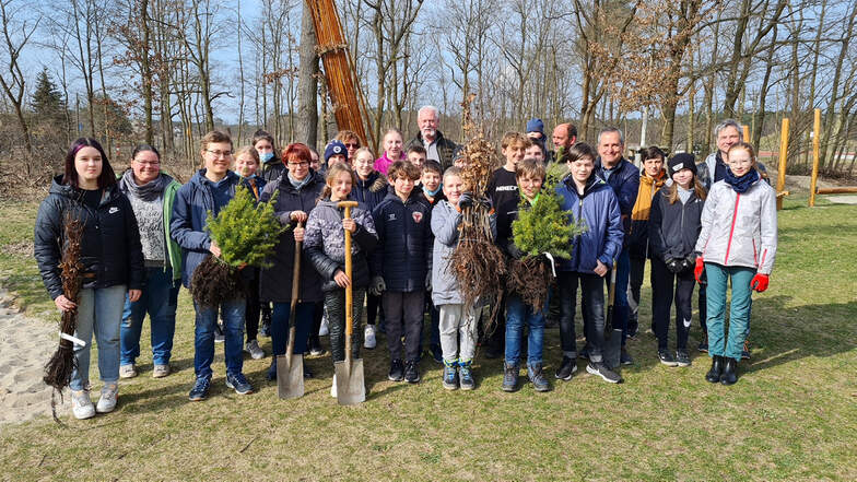 Die Sechstklässler der Oberschule Schleife gaben den Startschuss für „750 Bäume für 750 Jahre Schleife“. Am 30. März brachten sie im Wäldchen im Schulkomplex 100 Bäumchen in die Erde, darunter auch eine Rotbuche als Solitärbaum.