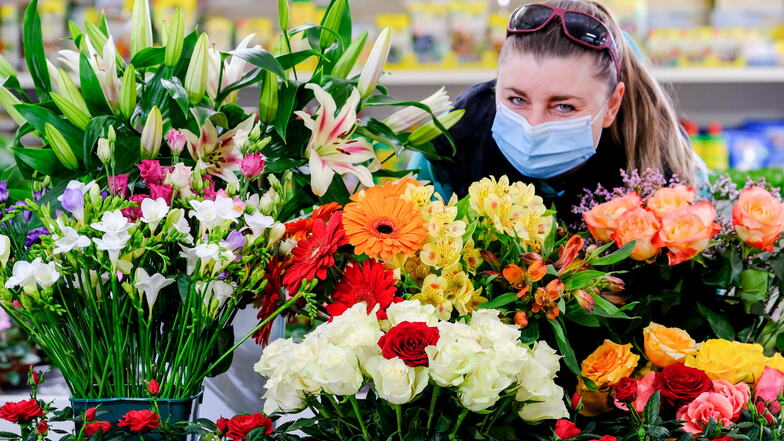 Floristin Beatrice Wagner bindet im Großmarkt der Sächsischen Jungpflanzen Genossenschaft nach Kundenwunsch Blumensträuße. Dafür steht ihr eine bunte Auswahl an Schnittblumen zur Verfügung.