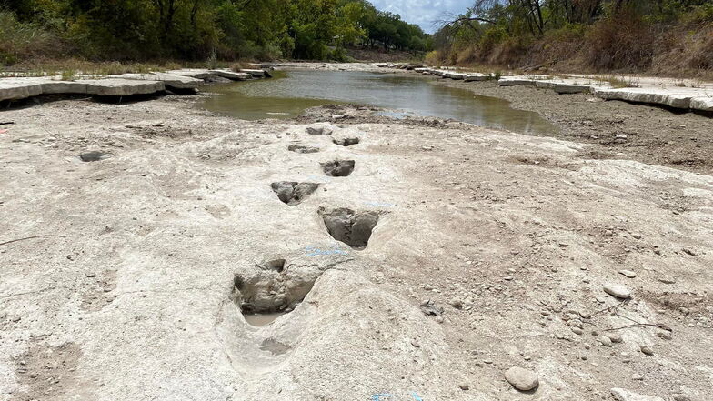 Fußabdrücke von Dinosauriern sind in einem fast trocken gefallenen Flussbett des "Dinosaur Valley State Parks" zu sehen.
