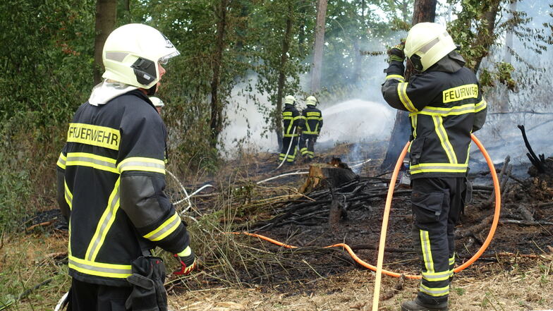 Der Brand bei Hermsdorf war einer der größten Waldbrände im Kreis Mittelsachsen in diesem Jahr.