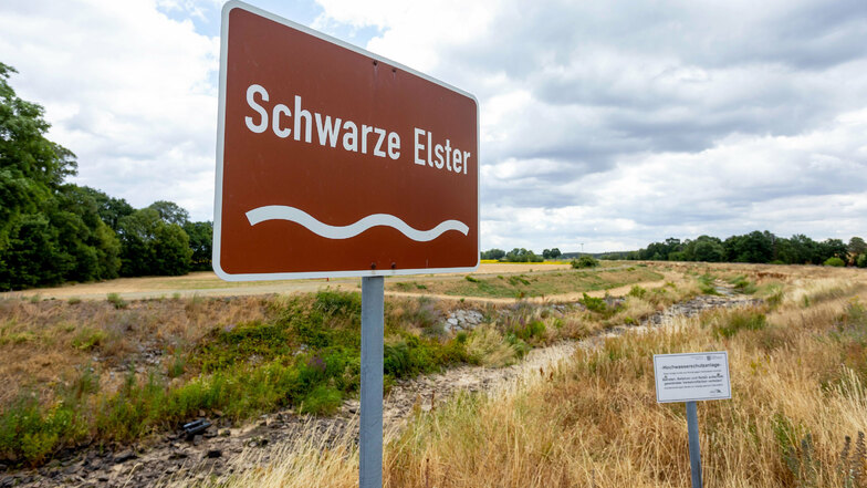 Die Schwarze Elstern, hier bei Senftenberg, führt derzeit zwischen Hoyerswerda und dem Süden Brandenburgs kein Wasser.