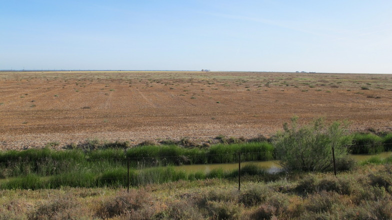 Das Feuchtgebiet Doñana ist in weiten Teilen von Austrocknung bedroht. Nur Gräben und einige wenige der früher zahlreichen Lagunen führen derzeit noch etwas Wasser.