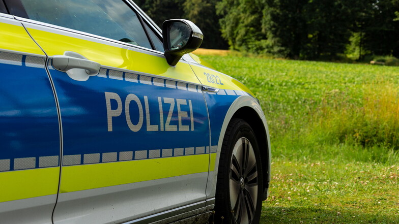 Symbolfoto: Drei mutmaßliche Diebe haben in Radeberg einen Hubwagen geklaut und sind dann nach Pirna geflüchtet.