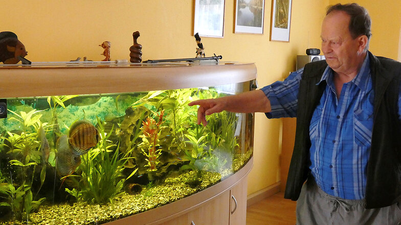 Auch im Ruhestand lebt Werner Jorga seine Tierliebe weiter aus und hält Kontakt. Sei das nun bei ihm zuhause oder im Zoo.
