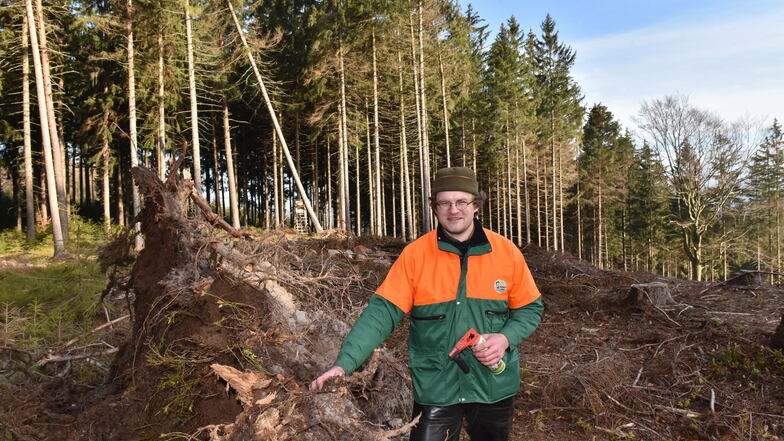 Wachsam bleiben: Thomas Schuchardt, Student der Holzwissenschaft, erfasst umgeworfene und vom Käfer befallene Bäume bei Cunnersdorf.
