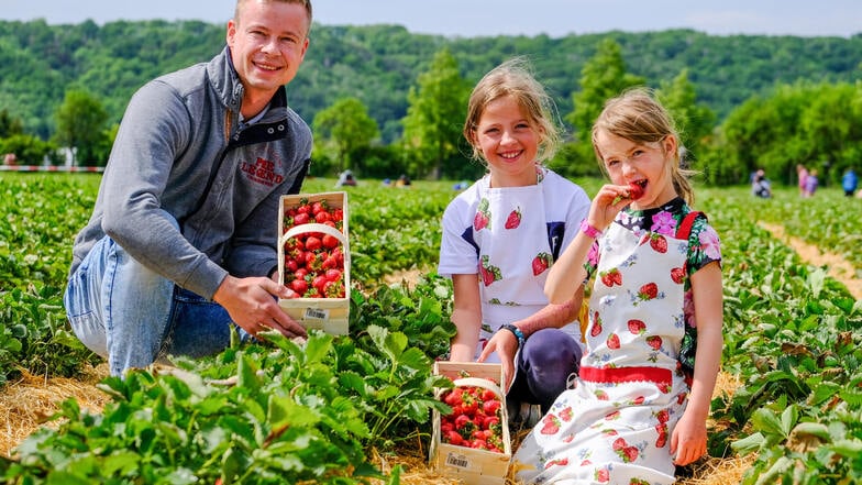 Obstbauer Michael Görnitz mit Familie war selbst beim Erdbeer-Pflückestart dabei.