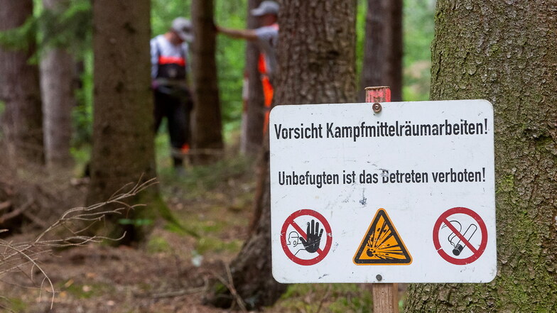 Seit acht Jahren ein vertrautes Bild in der Dippser Heide: Arbeiter der Firma Heinrich Hirdes Kampfmittelräumung scannen jeden Zentimeter Waldboden.