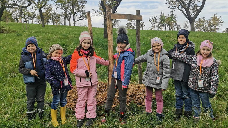 Einen Baum selbst pflanzen: Kinder der Liebstädter Grundschule konnten das bei der Natur-Olympiade auf dem Landgut Kemper und Schlomski.