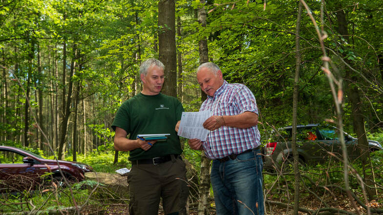 Revierförster Christian Schmidt zeigt Wolfgang, einem Brennholzwerber aus Dresden, seinen Arbeitsbereich, einen jungen Eichenwald bei Markersbach.