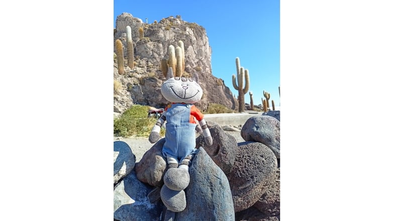 Der Muskelkater, das Maskottchen des Freitaler Vereins, reiste mit den Klamkes um die Welt und schickte per Mail Grüße in die Heimat - hier aus der Uyuni-Salzwüste in Bolivien.