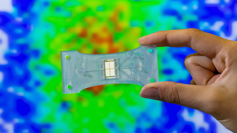 In der Ausgründung µAcoustiX vom Dresdner Leibniz-Institut für Festkörper- und Werkstoffforschung wurde ein Chip für die Blutanalyse entwickelt.