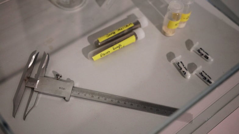 Werkzeug, mit dem die Wissenschaftler bei ihren Untersuchungen arbeiteten. Auch davon berichtet die Ausstellung.