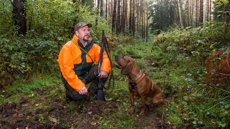 „Die Sauen können überall stecken.“ Revierförster Olav Spengler und sein Schweißhund Kester an einem aufgegrabenen Waldweg bei Reinhardtsdorf.