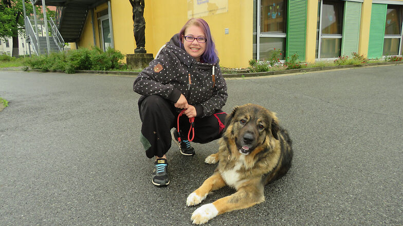 Nancy Tuschmo mit ihrem Germanischen Bärenhund „Feenja“ (4). Sie darf Frauchen ab und an zur Arbeit begleiten; gewiss auch heute: „Tag des Bürohundes“!