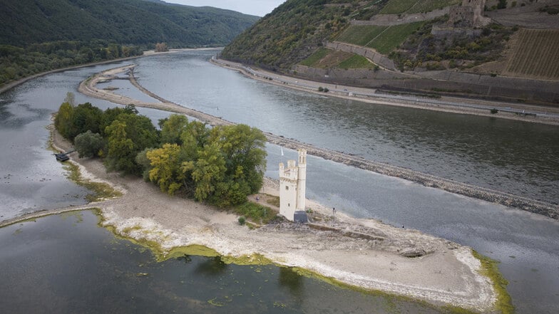 Die Pegelstände auf dem Rhein haben nach wochenlanger Trockenheit teils historische Tiefststände erreicht - davon ist auch die Flusskreuzfahrt betroffen.