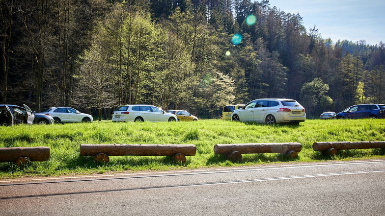Kirnitzschtal an einem Wochenende Anfang Mai: Autos parken wild auf einer Wiese im Nationalpark.