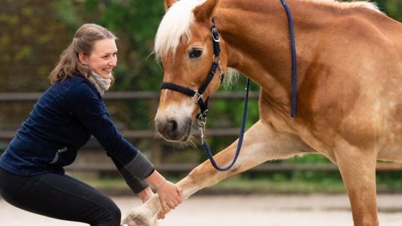 Sanft bewegt Melanie Bruck die Beine des Pferdes, um so vor allem die Gelenke beweglich zu halten. Ihr ist es wichtig, dass das Tier Vertrauen zu ihr findet.