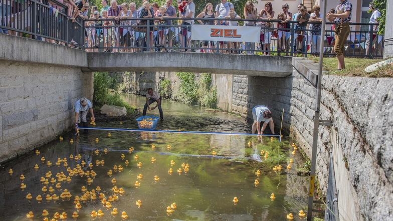 Beim traditionellen Entenrennen auf der großen Röder drängten sich die Massen am Ufer des Flüsschens beim diesjährigen Stadtfest in Großröhrsdorf. Es ist immer wieder spannend mitzufiebern, welches Entchen am Ende den Schnabel vorn hat.