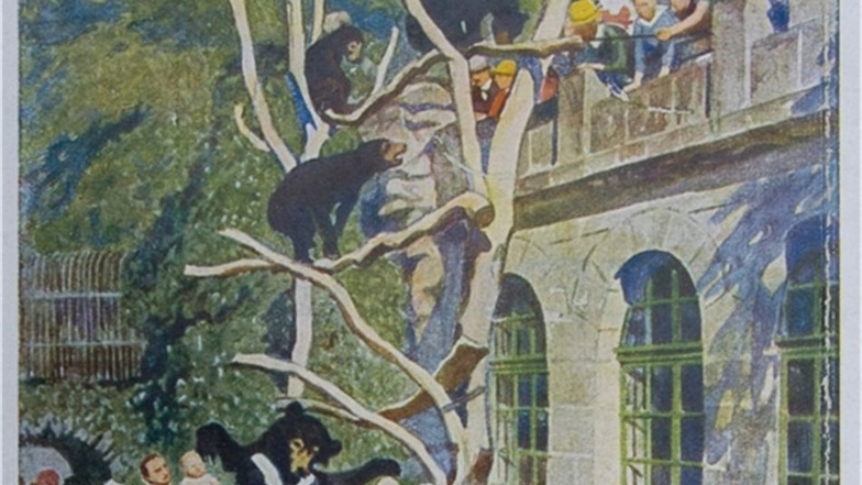 Auch für Bären ließ der Zoodirektor eine Freianlage bauen. Die wurde auf Postkarten gezeigt.